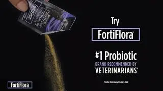 Try FortiFlora for Dogs and Cats with Diarrhea