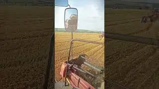 #shortvideos #уборка #палессе