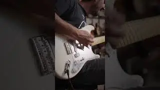 Fender Nile Rodgers