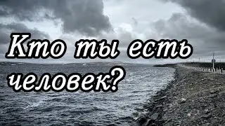 ТРОГАТЕЛЬНАЯ ПЕСНЯ! 