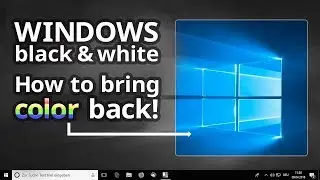 Windows screen black and white: How to bring the color settings back!