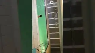 Pool part 2