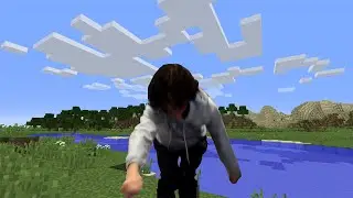 no one: minecraft mfs