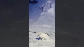 21 апреля 2024 г.