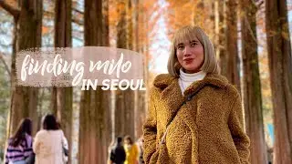 Seoul Korea Trip Part 2 | Finding Milo