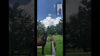 Caballo Extraña a Su Amo 😞