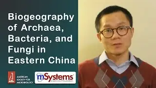Biogeography of Archaea, Bacteria, and Fungi in Eastern China - mSystems®