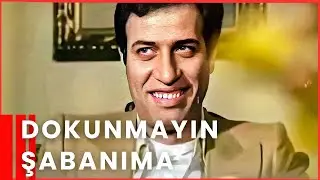 Dokunmayın Şabanıma | Kemal Sunal Komedi Filmi İzle