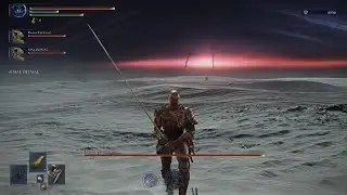 ELDEN RING NIGHTREIGN The End (Glitched Boss fight)