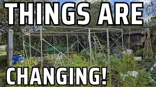Garden structures are going up and down!