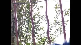 «Бавовна» во временно оккупированном Бердянске
