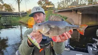 Polder BARSCH PB | Angeln in den MANGROVENPOLDERN