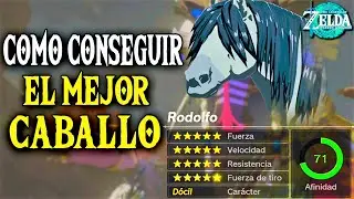 Cómo Conseguir 20⭐️ el MEJOR Caballo en Tears of the Kingdom (Todas las Recetas de Malanya)
