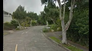 Paperbark Trees, New Trees, New Sidewalk, and Garbage Trucks!