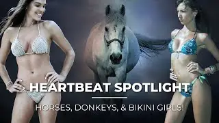Heartbeat Partner Spotlight - ft. Horsemanship - Bikini Girls & Horses!
