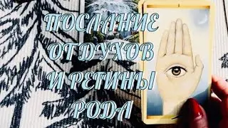 ДУХИ РОДА И РЕГИНА РОДА ХОТЯТ ВАМ ПЕРЕДАТЬ ВАЖНОЕ ПОСЛАНИЕ 🔮🔔‼️ | ТАРО РАСКЛАД ЭЗОТЕРИКА