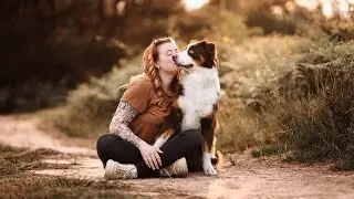 Jacqueline & Luke - Hunde-Videografie - Australian Shepherd