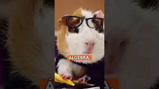 3 consejos rápidos si quieres elegir estudiar Ing. en Sistemas. 💻🤫