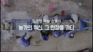 마늘 농가의 혁신, 그 현장을 가다 - 일관형 마늘선별기 (주)하다