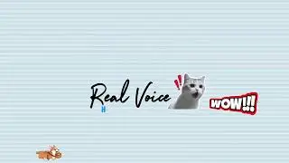 The Best AI Voice Generator | ElevenLabs Tutorial | 11labs | Elevenlabs Voice ! Documentry Video