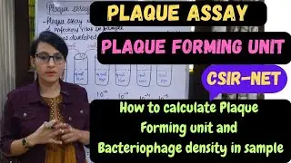 Plaque Assay || Plaque Forming Unit  || PFU ||  Calculation of PFU || MICROBIOLOGY ||CSIR-NET