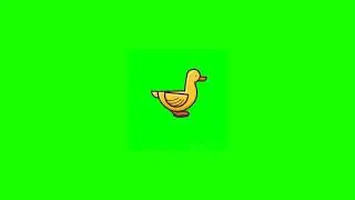 Duck walking animation green screen effect| Editor G