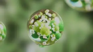 Visual Exploration #2