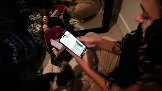 TikTok Revenue Podcast