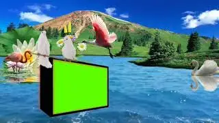 green screen is beautiful