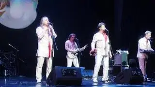 Наши любимые. Белорусские Песняры