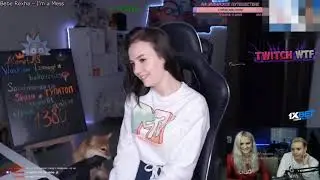 Modestal смотрит Twitch WTF