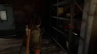 The Last of Us #3