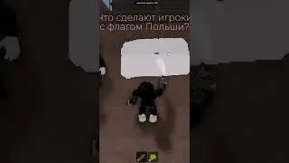 Что сделают игроки с флагом Польши? 🇵🇱 