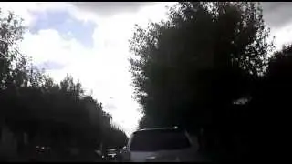 борзота