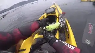 Spearfishing Highlights - Rockfish, Lingcod, and Perch. Monterey County