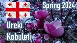 Kobuleti spring adventure. Projector school 🇬🇪 | 4K Footage