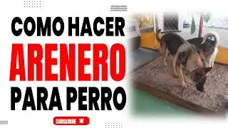Crea un Arenero para tu Perro en Casa Paso a Paso