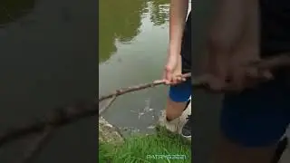 Trio zadymiarzy i gniotek Bartie.