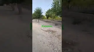 21 августа 2024 г.