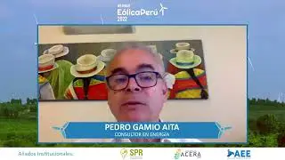Virtual & Hybrid Venues- BIZZ-DOME - Peru 2022 Wind Energy Webinar