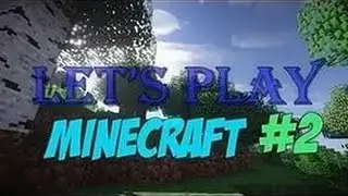 L.P 