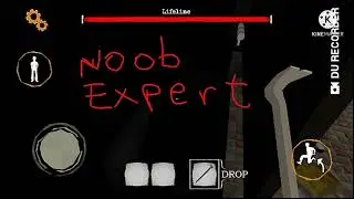 the twins beginner vs pro vs noob expert vs advanced expert 