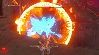 BotW Wii U - Storm Hyrule Castle! (VS Fireblight, Thunderblight Ganon) FAILURE