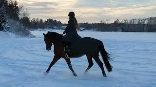 Fun in the Snow!