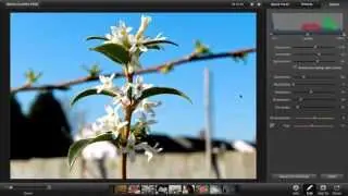 How to Edit and Enhance Using iPhoto