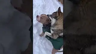 Подпишитесь добрые люди пожалуйста обнял 🫂 всех спасибо хорошей жизни вам ❤️🙌 