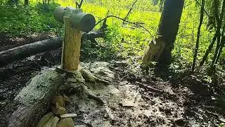 Солонец.