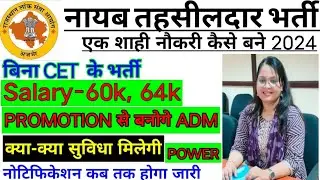 नायब तहसीलदार भर्ती 2024 | #nayab tehsildar vacancy | Raj nayab tehsildar job profile | #tehsildar