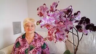 ПРОДОЛЖАЕМ С ЯЩИКАМИ, ДИВАНАМИ И ПРОЧИМИ ПОСЫЛКАМИ..СИДИМ НА ЛАВОЧКЕ
