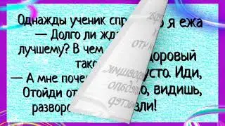 #анекдоты #фразы #короткие анекдоты
